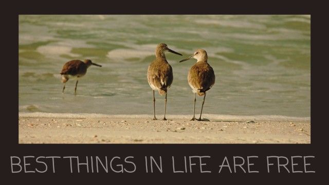 bestthings.jpg.6c8082b8d3d52a33f9311af282fc05fd.jpg